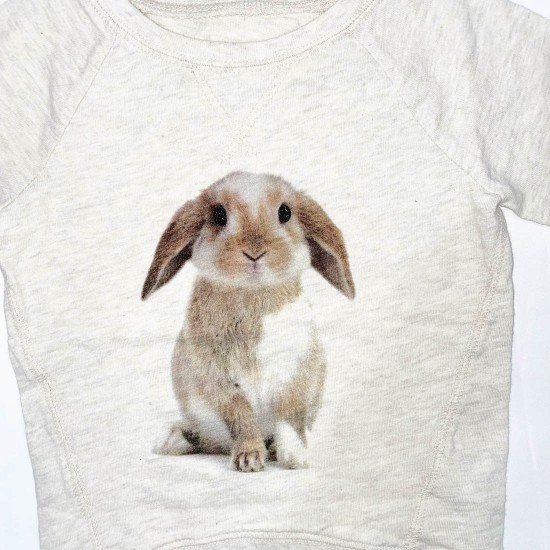 bunny shirt