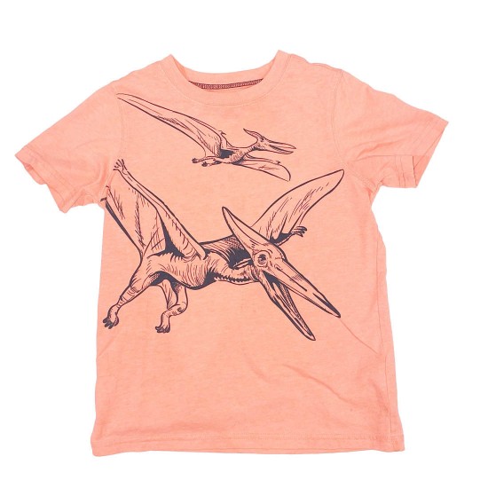 Orange Dinosaur Tee Shirt