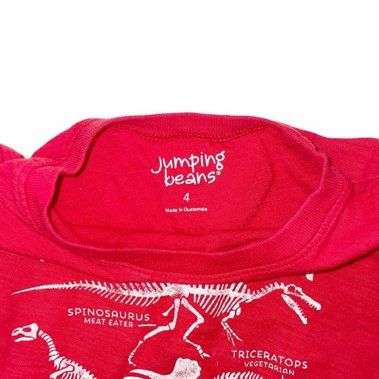 red dinosaur shirt