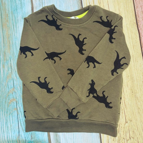 dinosaur-green-sweatshirt