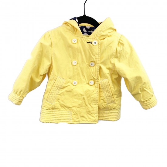 yellow-jacket